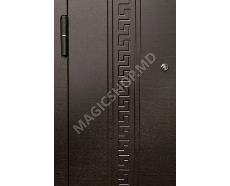 Наружная дверь DIPLOMAT 2E (2050x960x70mm)